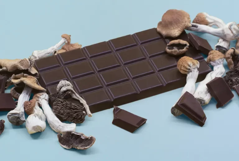 Mushroom chocolate